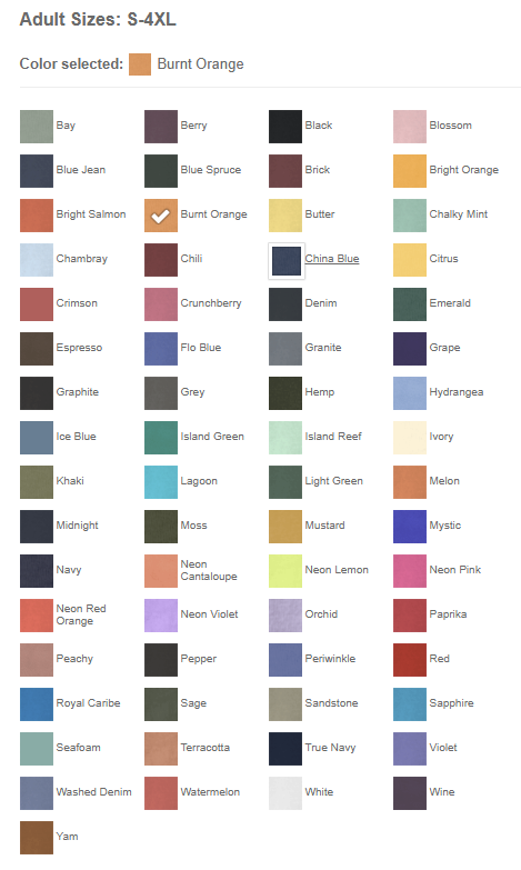 Comfort Colors 1717 Heavyweight Ringspun Tee