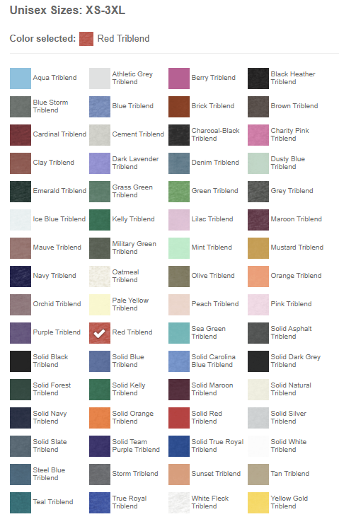 Bella+Canvas 3413 Triblend Tee